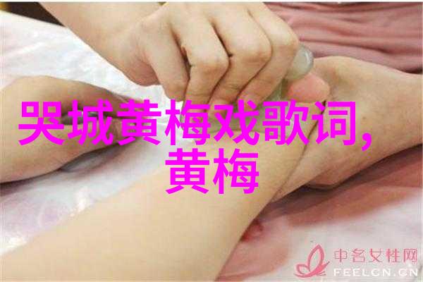 黄梅戏演员段秋萍 深宫孽海