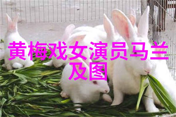 邓新生严凤英黄梅戏之春