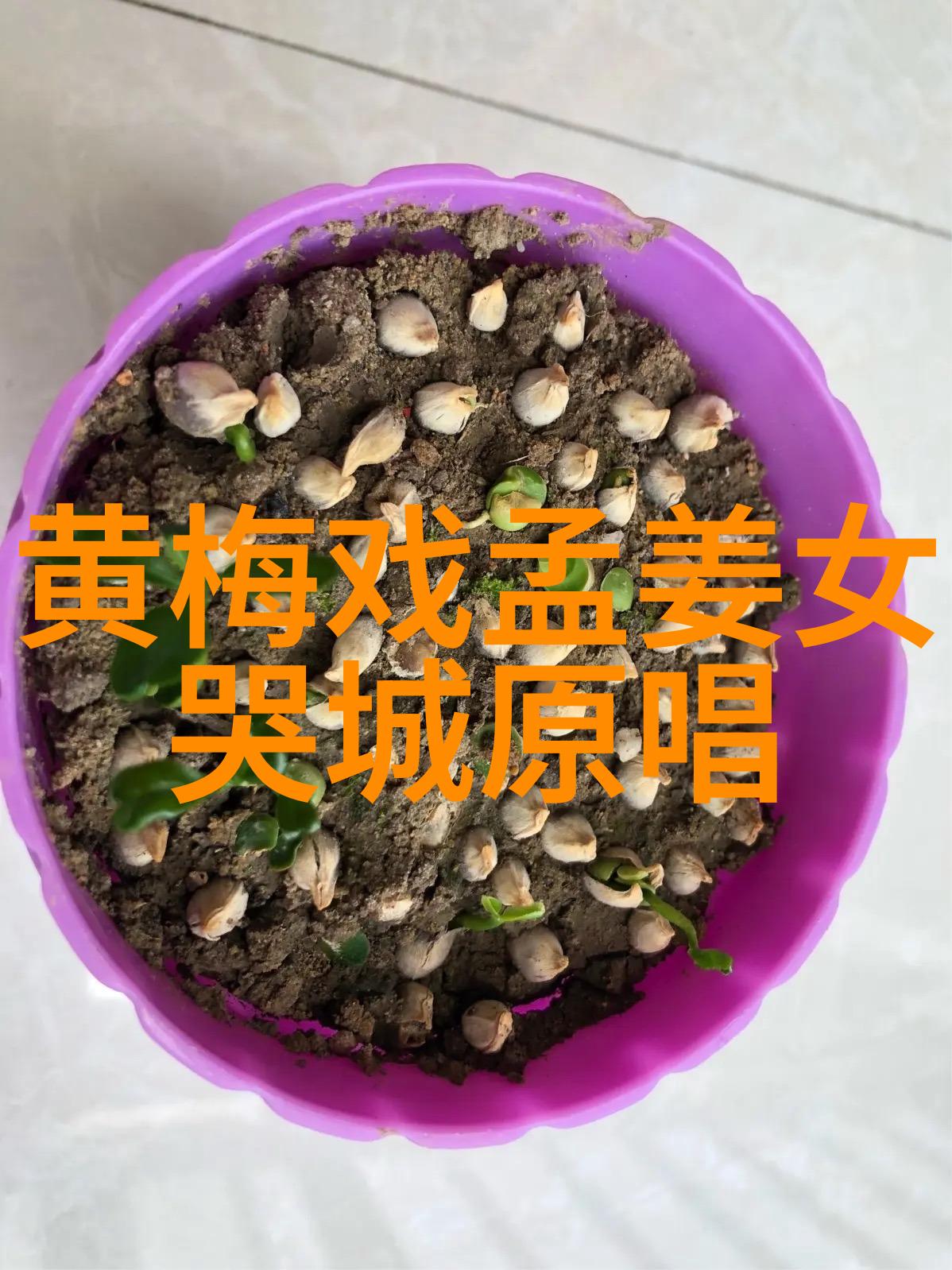 黄梅戏在湖北的发展