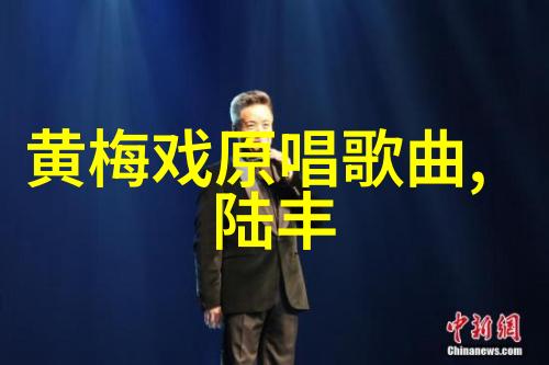 湖北省地方戏曲艺术剧院17日将在海口市人民大会堂演出大型经典黄梅戏五女拜寿